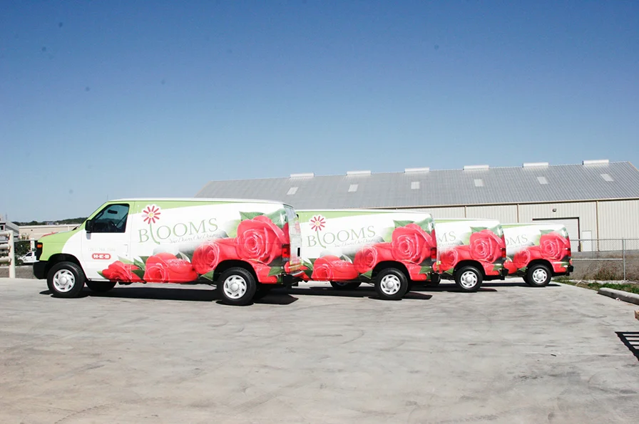 Vehicle Graphics 2